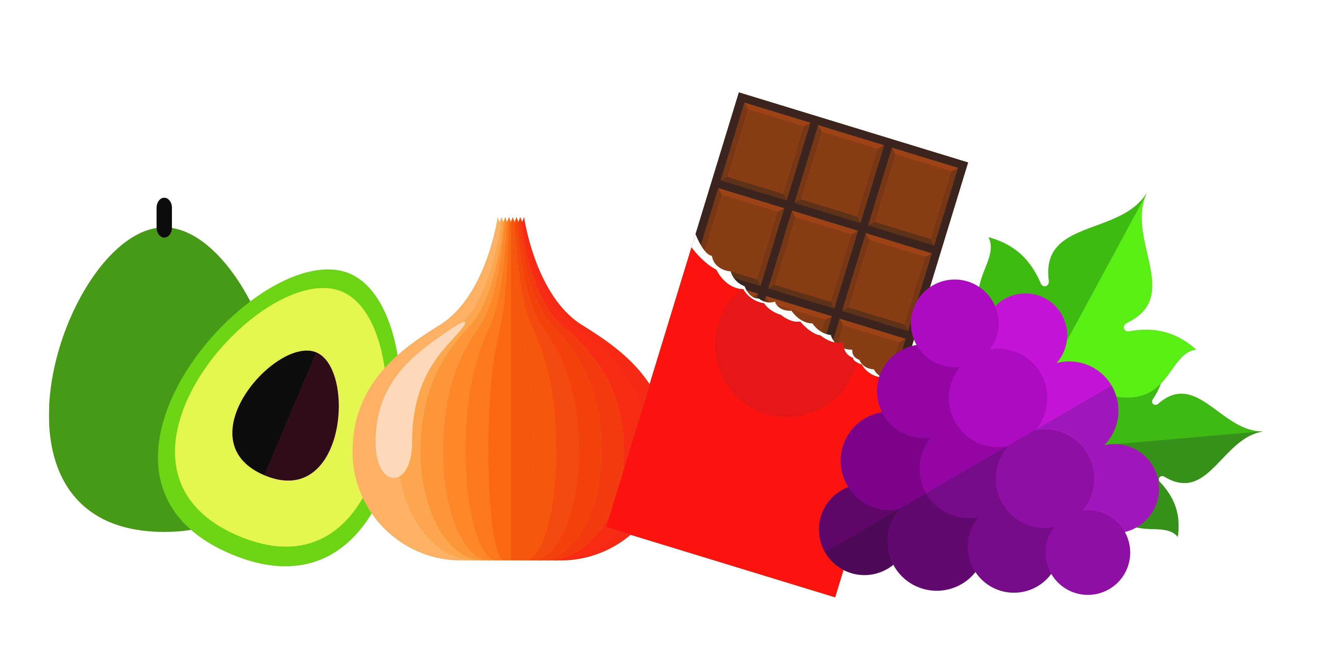 What fruits are toxic to cats hotsell